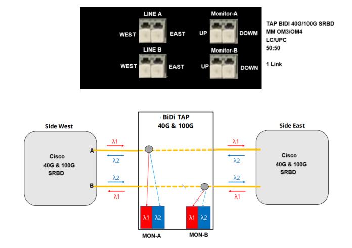  cisco 40G/100G SRBD